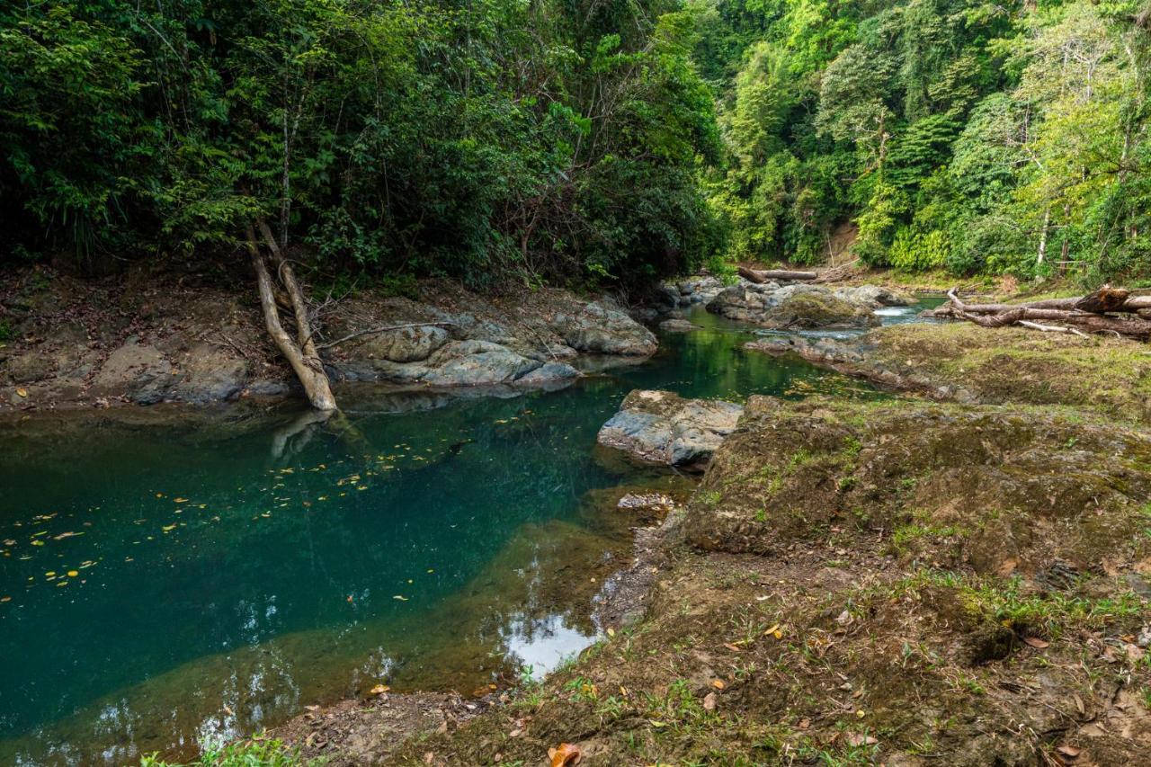 Drake Bay River View Экстерьер фото