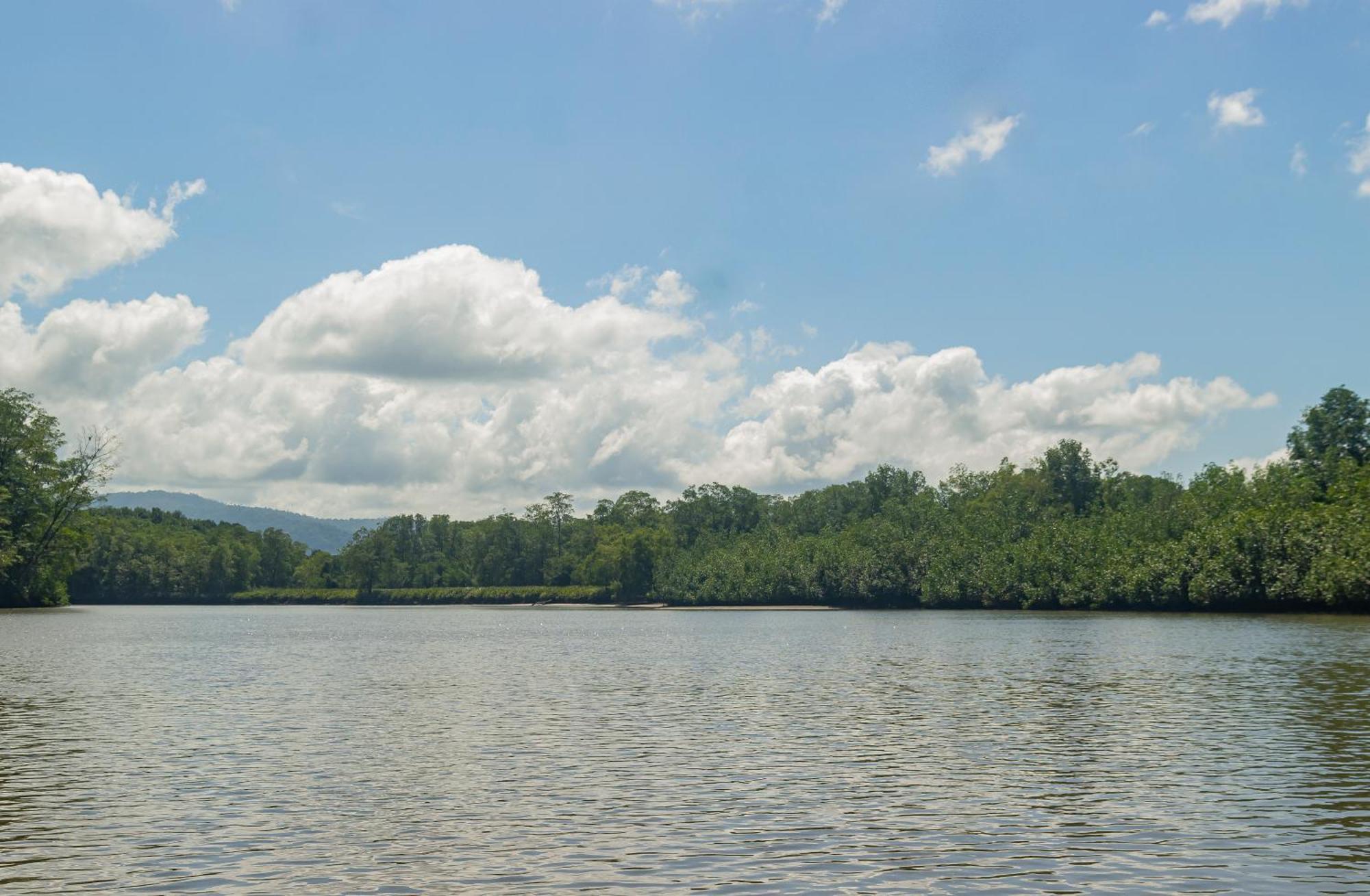 Drake Bay River View Экстерьер фото