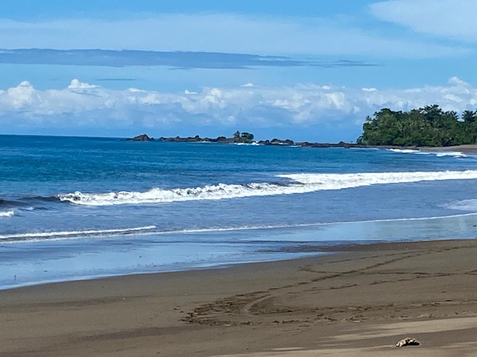 Drake Bay River View Экстерьер фото