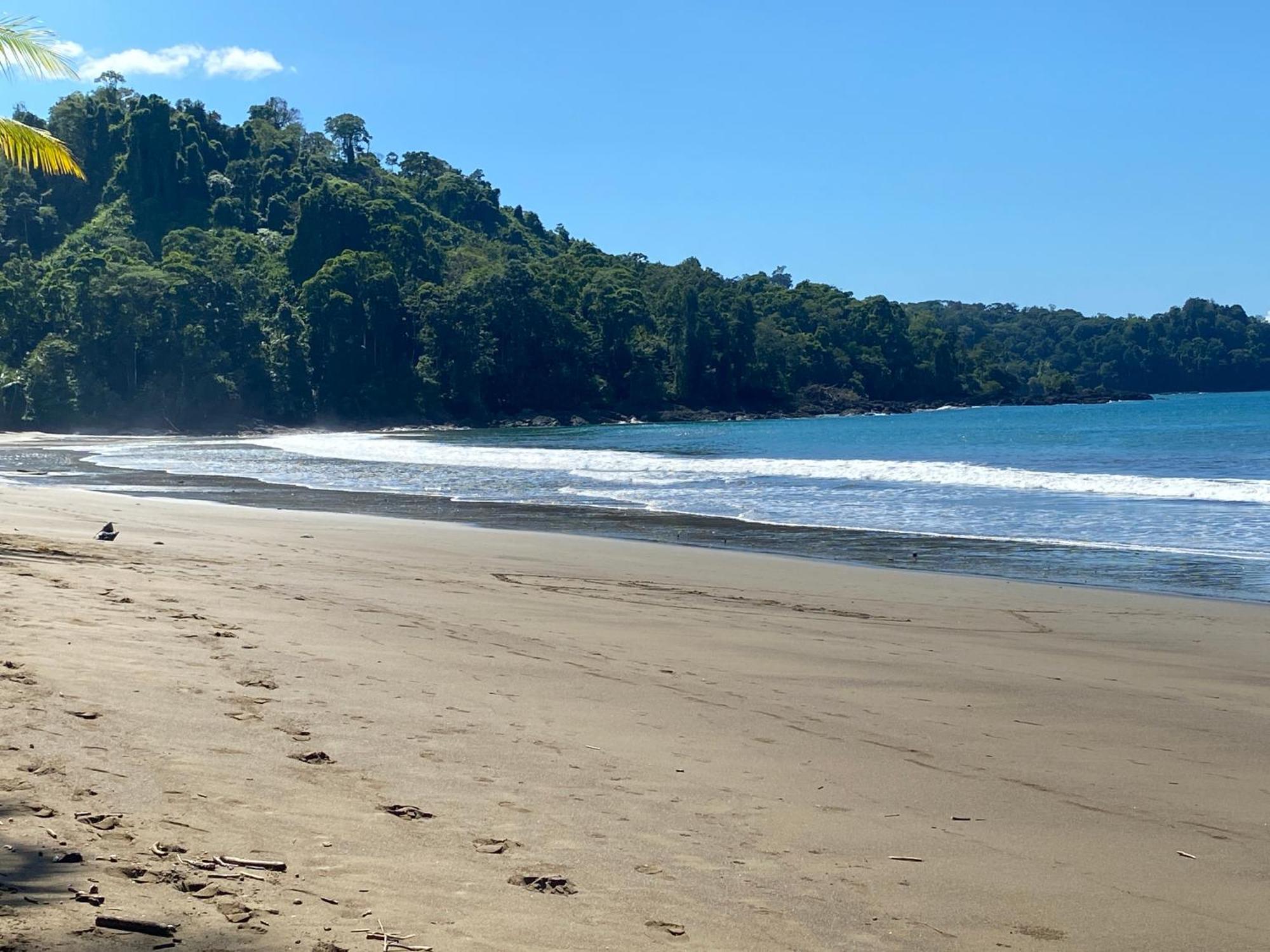 Drake Bay River View Экстерьер фото