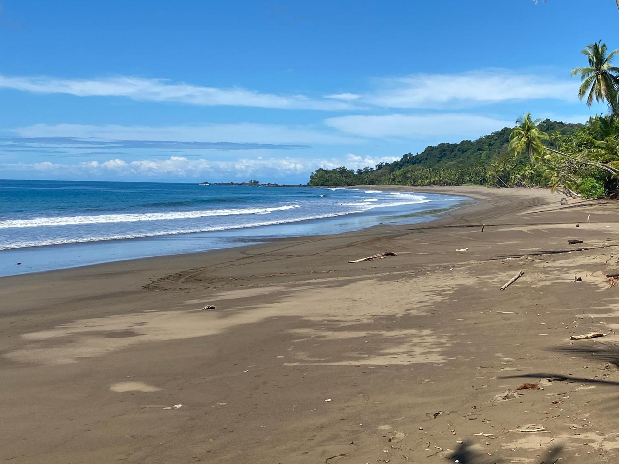Drake Bay River View Экстерьер фото