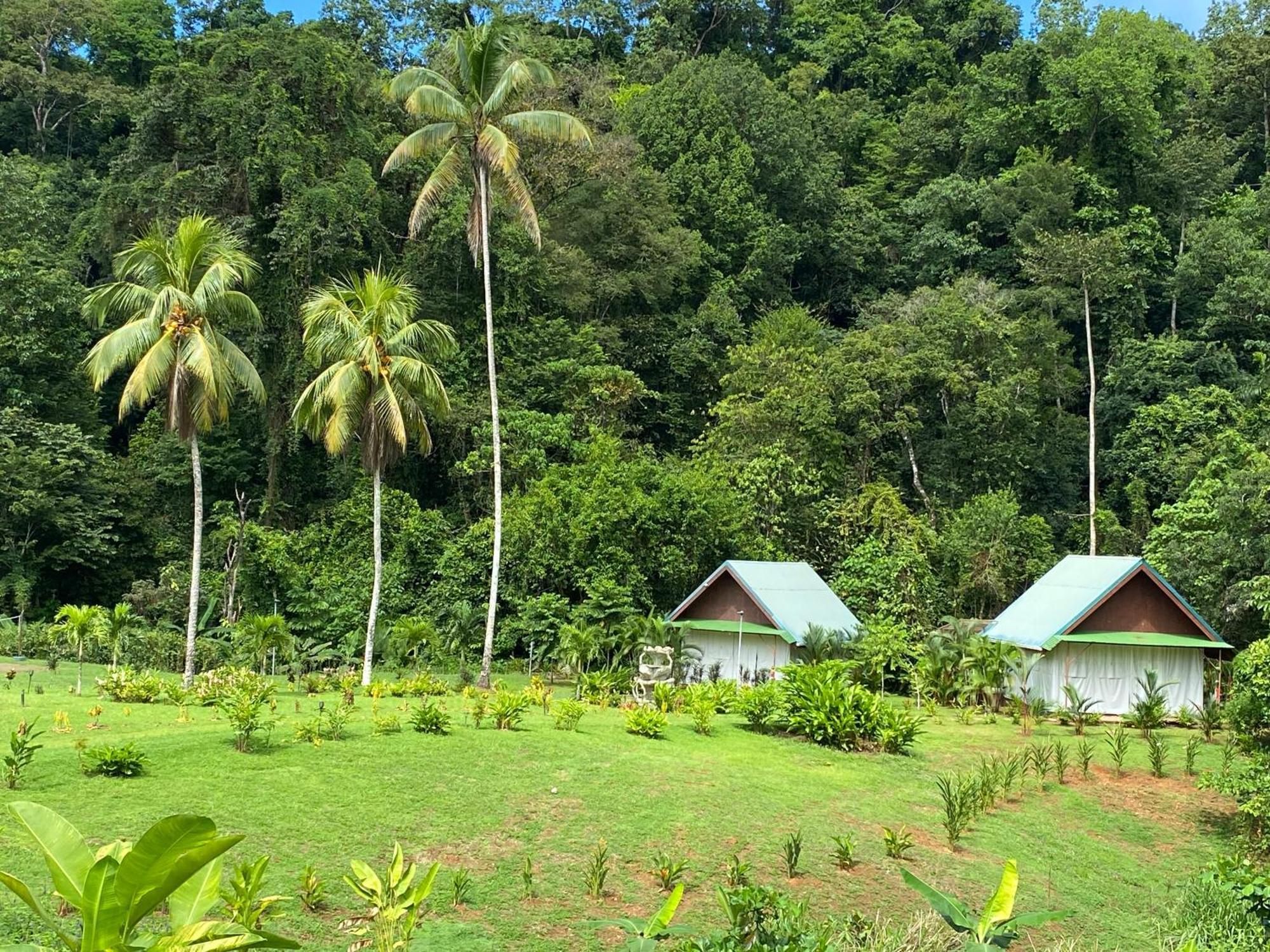 Drake Bay River View Экстерьер фото